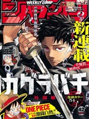 畦风 A1 浅罩样机观测图